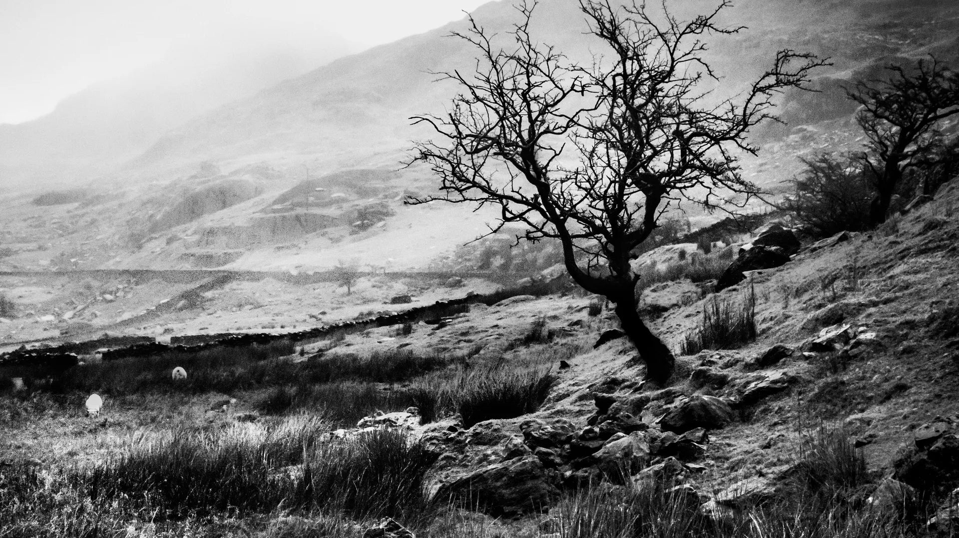 The World of Interiors: Rare Wuthering Heights First-Edition Discovered in Hollywood