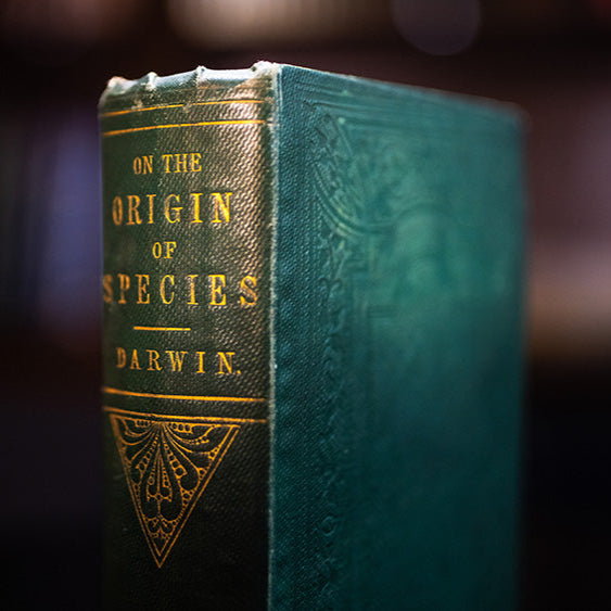 Book titled 'On the Origin of Species' by Darwin with a blurred background