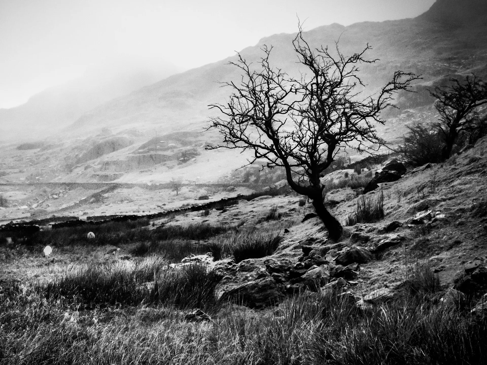 The World of Interiors: Rare Wuthering Heights First-Edition Discovered in Hollywood